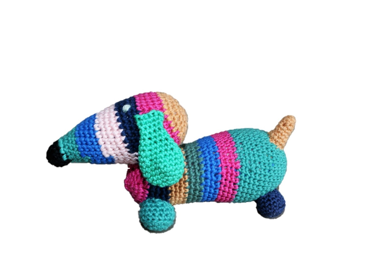 Ted de Teckel, pup